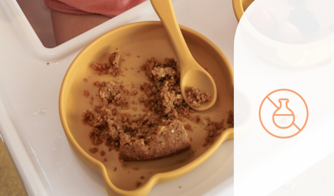 non toxic plate for baby and toddler