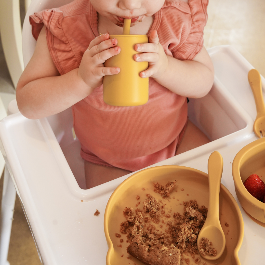 Silicone Plates with Suction